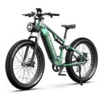 Bicicletta elettrica DUOTTS E26 motore 750W 48V batteria Samsung 20Ah sospensione totale