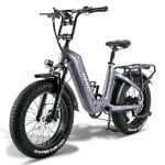 Bicicletta elettrica FAFREES F20 Master fibra di carbonio, pneumatici larghi, motore 500 W, batteria 48 V 22,5 Ah