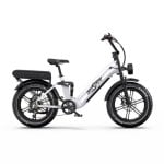 Bicicletta elettrica OT08Pro doppia batteria 500W doppia sospensione 20x4.0 cambio Shimano 7V