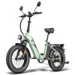 Bicicletta elettrica FF20 Polar Motore 500W Doppia Batteria 170km LCD L1E-B Bicicletta elettrica FF20 Polar Motore 500W Doppia Batteria 170km LCD L1E-B