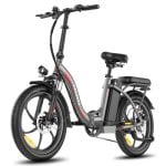 Bicicletta elettrica F20+ Telaio integrato Motore 250 W Batteria 20 Ah 90 km LCD Bicicletta elettrica F20+ Telaio integrato Motore 250 W Batteria 20 Ah 90 km LCD