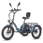 Elektroroller F20 Mate 500W 48V 23,45Ah L2e-P EU zertifiziert Blinker Licht Spiegel Hupe