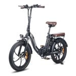 Elektrofahrrad FAFREES F20 Pro 250 W Hinterradmotor 18 Ah Akku 20x3.0 Zoll LCD Shimano 7-Gang