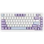 Ajazz AK820 Max HE Teclado Mecânico 75% com RGB e Cabo USB (ES) Ajazz AK820 Max HE Teclado Mecânico 75% com RGB e Cabo USB (ES)