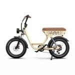 Elektrofahrrad Onesport W77 250W 48V Hydraulikbremsen Doppelter Sitz LCD Display 20x4 Zoll