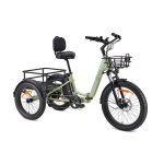 Bicicleta eléctrica YOUIN Dover BK6000 triciclo plegable motor central 250W 100 km autonomía