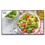 TV Sony LCD FW-55BZ35L 55" 4K Ultra HD Android WiFi Direkt LED 24/7