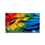 TV Philips LED 65HFL6214U/12 65" 4K Ultra HD Smart TV Android WiFi