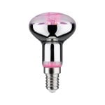 Ampoule LED Paulmann 287.34 4W E14 100 lm 15000h 1300K 64° Non dimmable