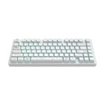 Teclado mecânico Dark Project Terra Nova Layout ANSI RGB branco compacto