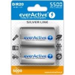 Bateria Everactive EVHRL20-5500 D NiMH 5500 mAh pack 2 unidades Bateria Everactive EVHRL20-5500 D NiMH 5500 mAh pack 2 unidades