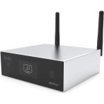 Arylic S50 Pro Plus Receptor Estéreo HiFi DAC ESS9023 Bluetooth 5.0 WiFi AirPlay Spotify RCA