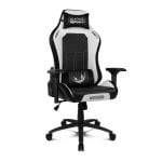 Drift DR250 Rubius PRO Cadeira Gaming com Braços 4D e Almofadas Ergonómicas Máx.150kg Preta/Branca