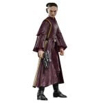 Figura Hasbro Star Wars The Black Series Padmé Amidala articolata multicolore