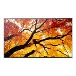 Monitor Sharp MultiSync M432 42,5" UltraHD 4K 60Hz IPS 8ms Digital Signage