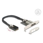 Tarjeta de Red DeLock 95281 Mini PCI Express 2x SFP Gigabit Low Profile