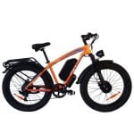 Bicicletta elettrica PVY Max26 250W doppio motore 48V30Ah freni idraulici 26" arancione