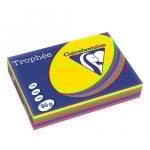 Papier imprimante Clairefontaine 1704SC A4 80g/m² Couleurs assorties 500 feuilles