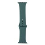Bracelet Casyx WBD-SLC42-0002 Silicone Vert 42-49 mm Compatible Apple Watch