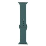 Bracelet CASYX WBD-SLC38-0002 Silicone 38 42 mm Vert Compatible Apple Watch