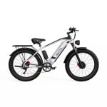 Bicicleta Elétrica DUOTTS F26 1500W Bateria 840Wh 50km Prata-Branco Pneus 26x4.0