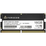 Memória RAM Forgeon Cyclone PRO 16GB 1x16GB DDR5 5600MHz CL46 Preto