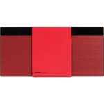 Microset Panasonic SC-HC304 20W RMS Bluetooth DAB+ FM Rood HiFi