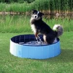 Piscina para cães TRIXIE 39481 Redonda Plástico Resistente 800x200 mm