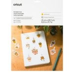 Lamina vinile termotrasferibile Cricut Oro 210 mm x 297 mm 10 fogli