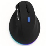 Souris Bluestork Ergo Lumi Pro Bluetooth RF 4800 DPI Noir RGB