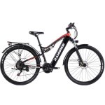 Bicicletta elettrica Randride YG90 29'' 500W 48V17Ah Sospensione LCD Nero