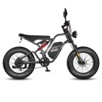 Bicicletta elettrica Fafrees F20 Ultra 750W 48V25Ah 20 pollici Freni idraulici