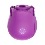 Sugador Do You Erotic Rosa 10 modos IPX7 carga USB magnetica