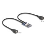 Adaptateur Delock 64346 Mini PCI Express 2x USB 2.0 Full Profile