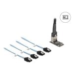 Câble Delock 64260 M.2 Mini-SAS 4 ports SATA Hot-Swap 1 m