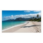 Monitor PC Sharp PN-UN553V 55" Full HD 60Hz IPS Cornice Ultrafine Videowall