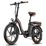 Bicicletta elettrica Fafrees F20 Pro 250W 36V 20Ah 20 pollici Nero