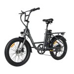 Elektrofahrrad Pixar Fun1 350w 36v 10.4ah 20x3 Fat Grau