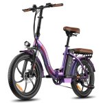 Bicicleta Eléctrica Fafrees F20 Pro 250W 36V18Ah 20" Disco Mecánico Rosa Púrpura