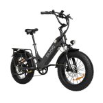 Bicicletta elettrica Pixar Ride1 500W 48V 10,4Ah 20" Grigia