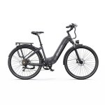 E-Bike OneSport OT05 Pro 250W 36V 22,5Ah 28 Zoll Grau