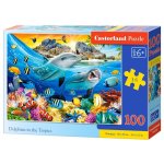 Puzzle Castorland Dolphins in the Tropics 100 Teile Kinder Karton