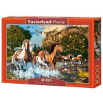 Puzzle Castorland C-104789-2 1000 pieces Animaux 9 ans