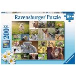Puzzle Ravensburger 13353 200 pieces pour enfants et adultes 8+