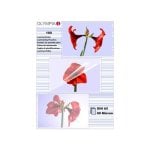 Plastificatori Olympia A5 80 micron Trasparenti 100 pezzi