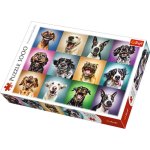 Puzzle Trefl 10462 1000 pièces Animaux Chien