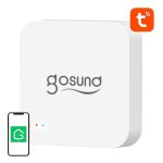 Hub domotico Gosund G2 Bluetooth/Wi-Fi compatibile Alexa e Google Assistant