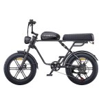 Bicicletta Elettrica Engwe M1 EU - 250W - Batteria 48V 15.6Ah - Pneumatici 20 Pollici - Freni a Disco Idraulici - Nero
