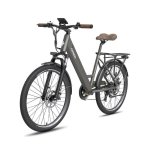 Bicicletta Elettrica Fafrees F26 Pro - Motore 250W Batteria 36V15ah Ruote 26x1.75 Freni a Disco Meccanici Grigio
