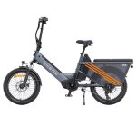 Bicicletta Elettrica Engwe LE20 EU - Pneumatici 20 Pollici Motore 250W Batteria Doppia 48V38.4AH Freni Idraulici Grigio